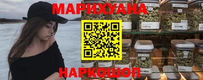 крисы Нальчик