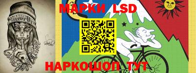 крисы Новозыбков