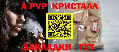 крисы Новозыбков