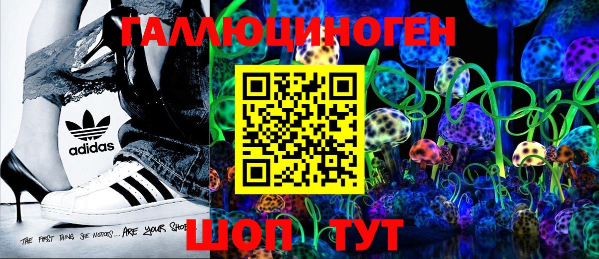 Псилоцибиновые грибы Psilocybe  Вход с VPN  Галлюциногенные грибы мицелий  Юрга 